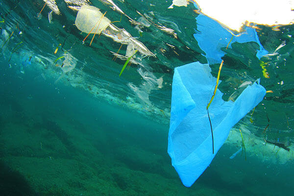 Plastic in the Ocean