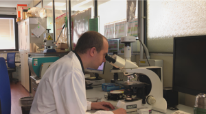 man looking through a microscope