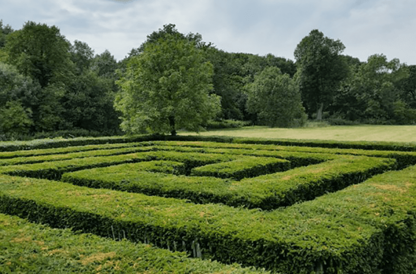  Agentdraw Blog // The Maze That is New Product Development (NPD)